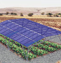 Solar Greenhouse